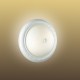 Настенно-потолочный светильник 2306 COLT, Sonex