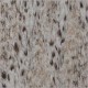 Обои Roberto Cavalli(Роберто Кавалли) Home №3 D14067RC, Emiliana Parati