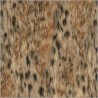 Обои Roberto Cavalli(Роберто Кавалли) Home №3 D14063RC, Emiliana Parati