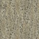 Обои Roberto Cavalli(Роберто Кавалли) Home №3 D14064RC, Emiliana Parati